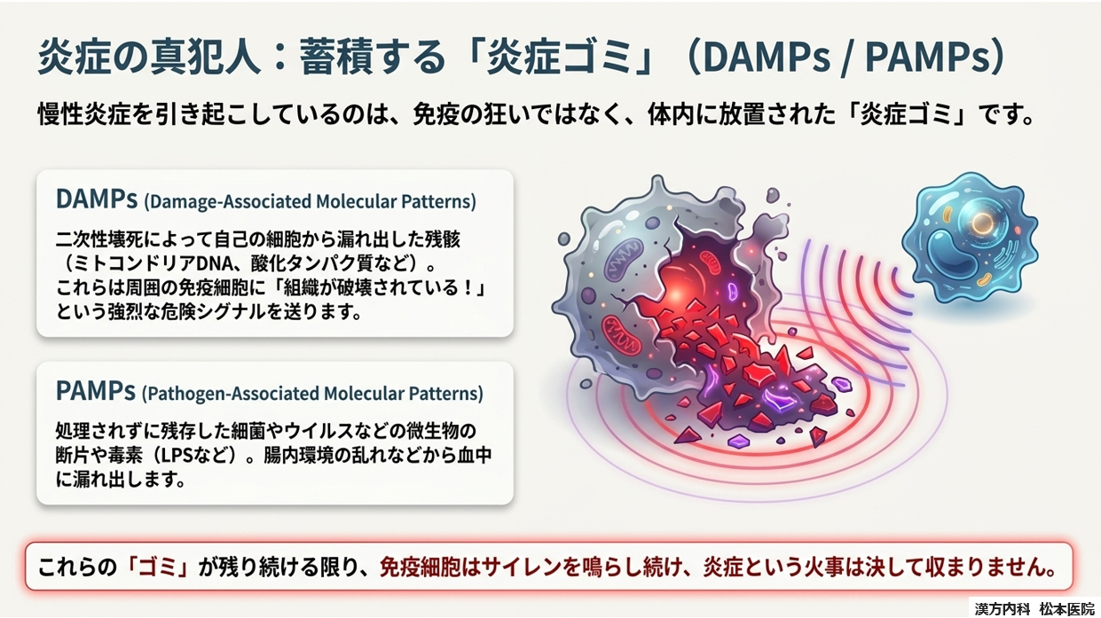 「“生命の本質”から根本治療を考える」シリーズ第三弾：免疫とは何か？ Part6 免疫システムの破綻と「慢性炎症」　～免疫抑制が慢性炎症を産む～