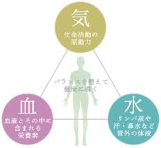 「漢方医学」の考え方について３（facebookより転載 2019-6-28）