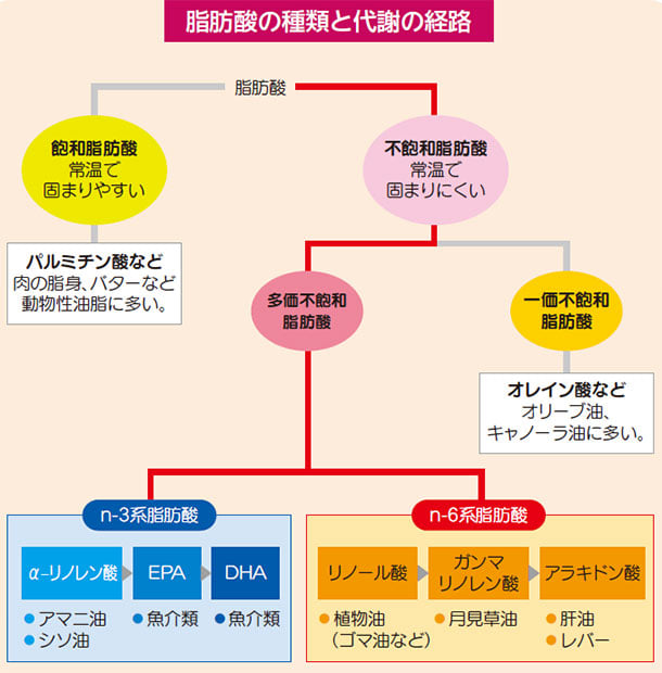動脈硬化の予防と「コレステロール仮説」について２（facebookより転載 2019-11-17）